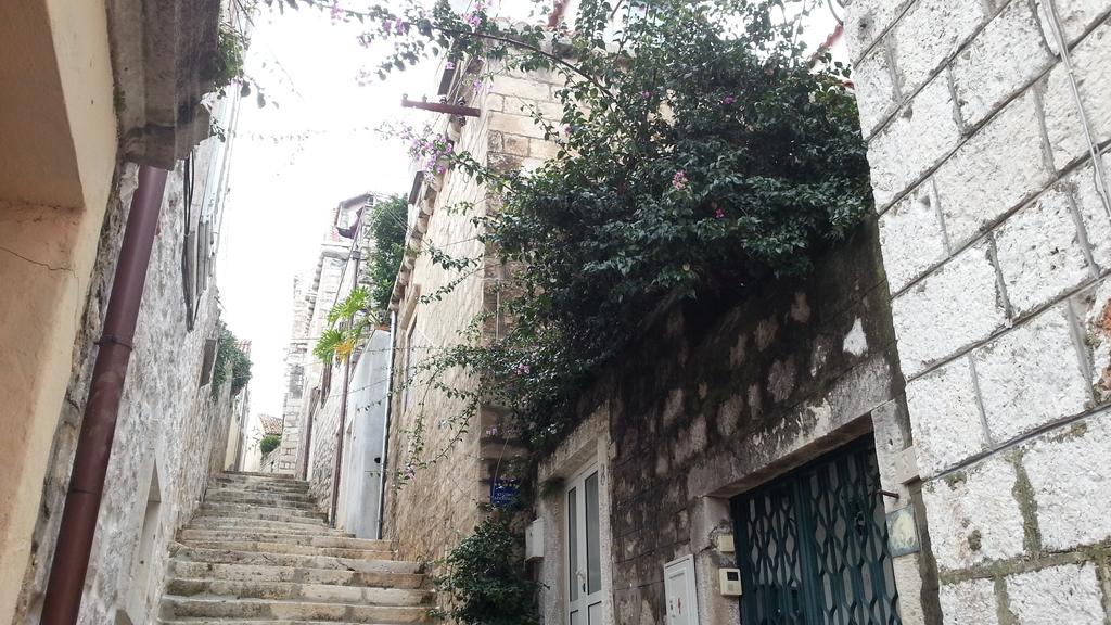 Apartments Previsic Cavtat Luaran gambar